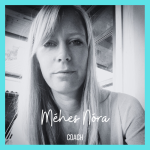 méhesnóra